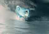 Gregory bouffeliere, martinique